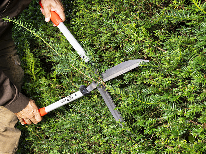 Heggenschaar Felco 250-63, lengte 63 cm