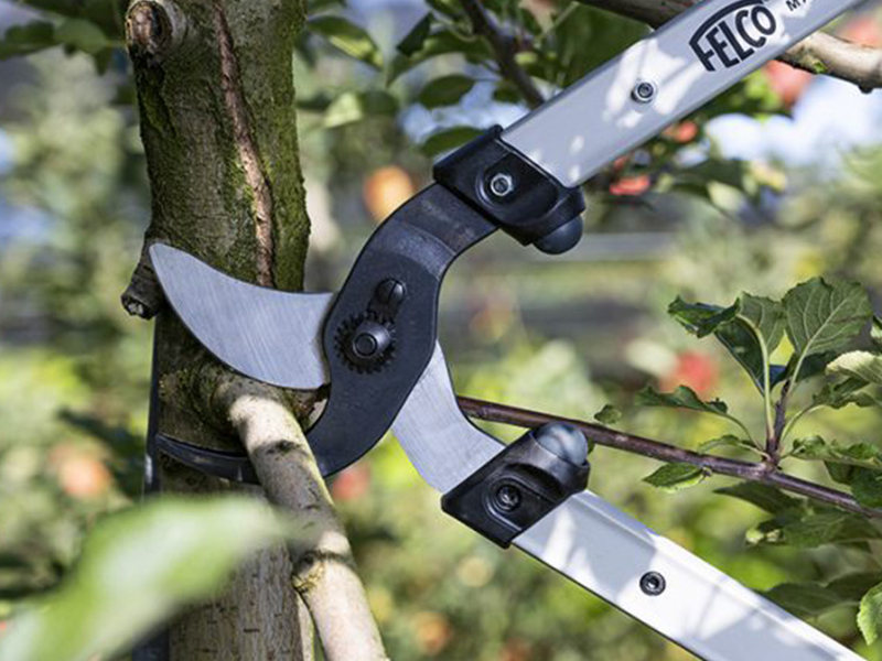 Takkenschaar Felco 221-90, lengte 90 cm, gebogen snijkop, aluminium grepen