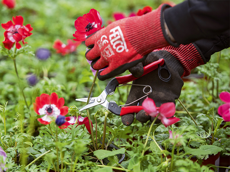 Handschoen Felco 701 maat S, HPPE vezel met nitril coating