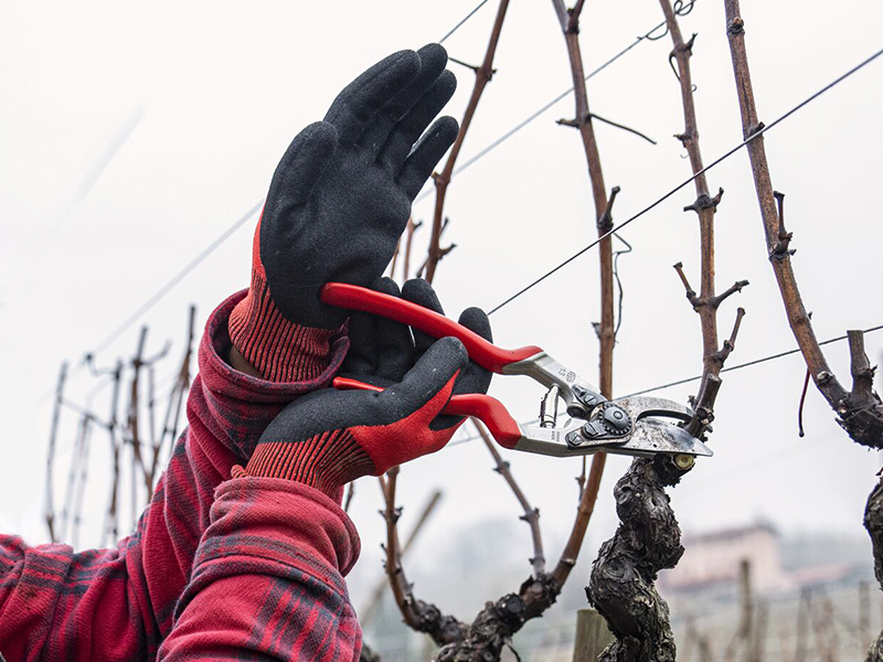 Handschoen Felco 701 maat XL, HPPE vezel met nitril coating