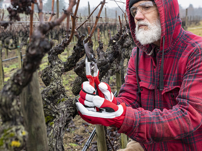 Handschoen Felco 702 maat XL, rundleder met spandex rugzijde Werkhandschoenen Felco, rood wit, F702XL, in koeienleder, maat XL