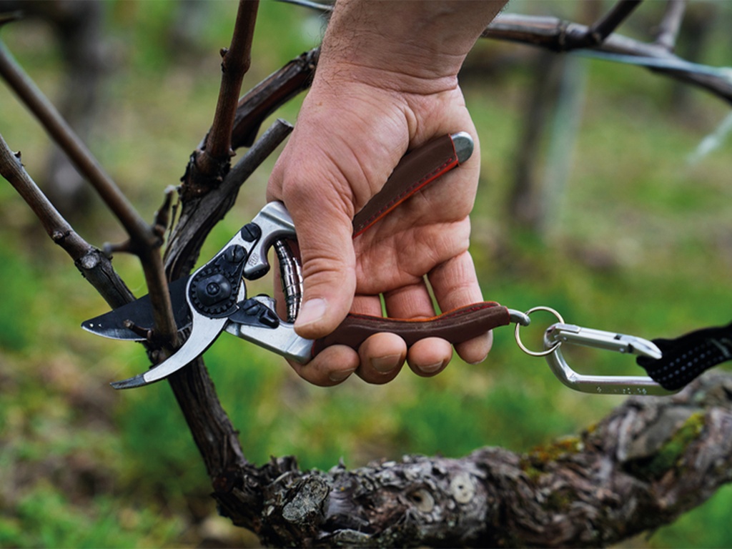 Snoeischaar met F-Tech bovenmes, leder comfort  handgrepen en sluitclip met extra 'halve stand'