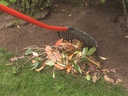 Golden Gark rood 18 tands 35 cm, gebogen aluminium steel en D-greep