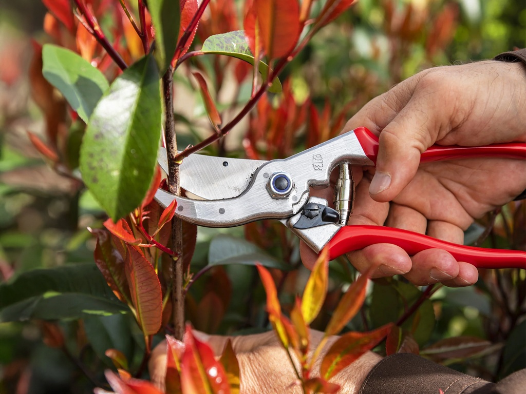 Snoeischaar FELCO 4, standaard model