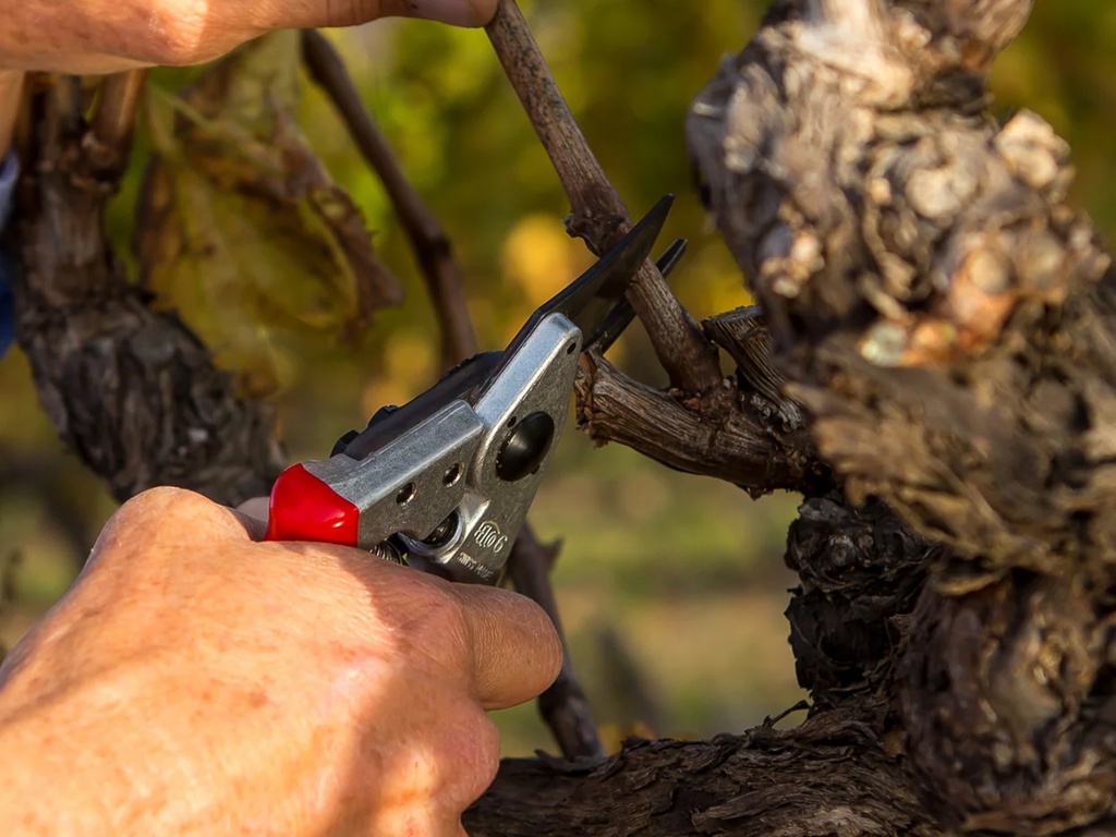 Snoeischaar FELCO 6 (Medium), compact met kegelvormige snijkop, knipt tot 20 mm