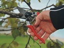 Snoeischaar FELCO 8, ergonomisch met gehoekte snijkop, knipt tot 25 mm