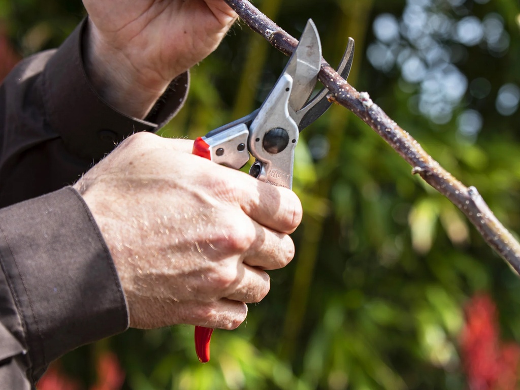 Snoeischaar FELCO 11 (Large), vast ondermes, knipt tot 25 mm