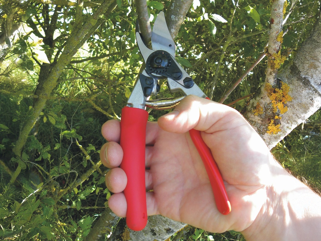 Snoeischaar FELCO 12 (Medium), ergonomisch met rolhandvat, knipt tot 20 mm