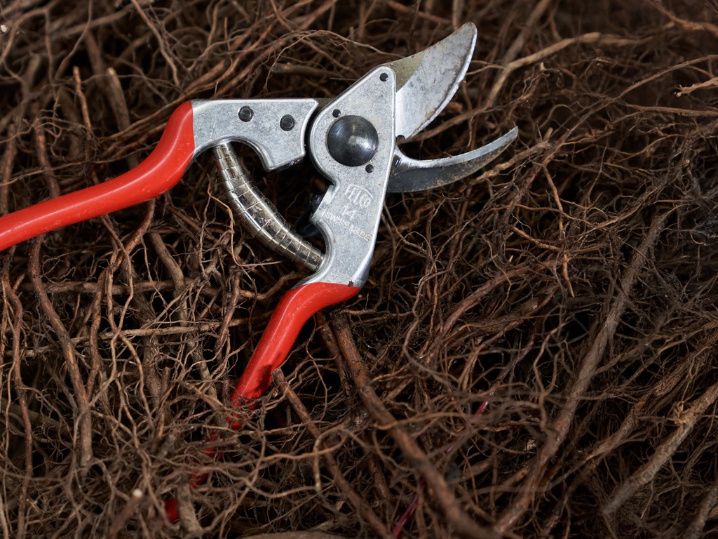 Snoeischaar FELCO 14 (Small), zeer compact met kegelvormige snijkop, knipt tot 18 mm