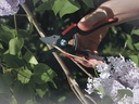Snoeischaar FELCO 160S, lichte hobbyschaar voor kleine handen, knipt tot 20 mm