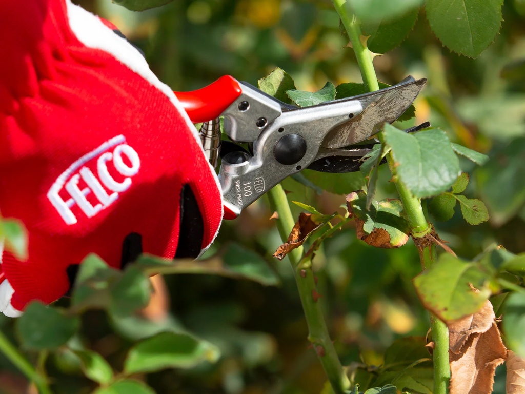 Snoeischaar - rozenschaar FELCO 100, Knip & Pakschaar, knipt tot 10 mm (uitlopend)