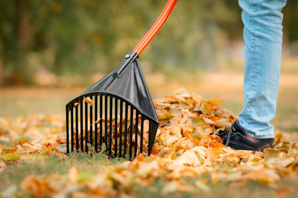 Golden Gark XXL rood 28 tands 61 cm, gebogen aluminium steel en D-greep (ongemonteerd)