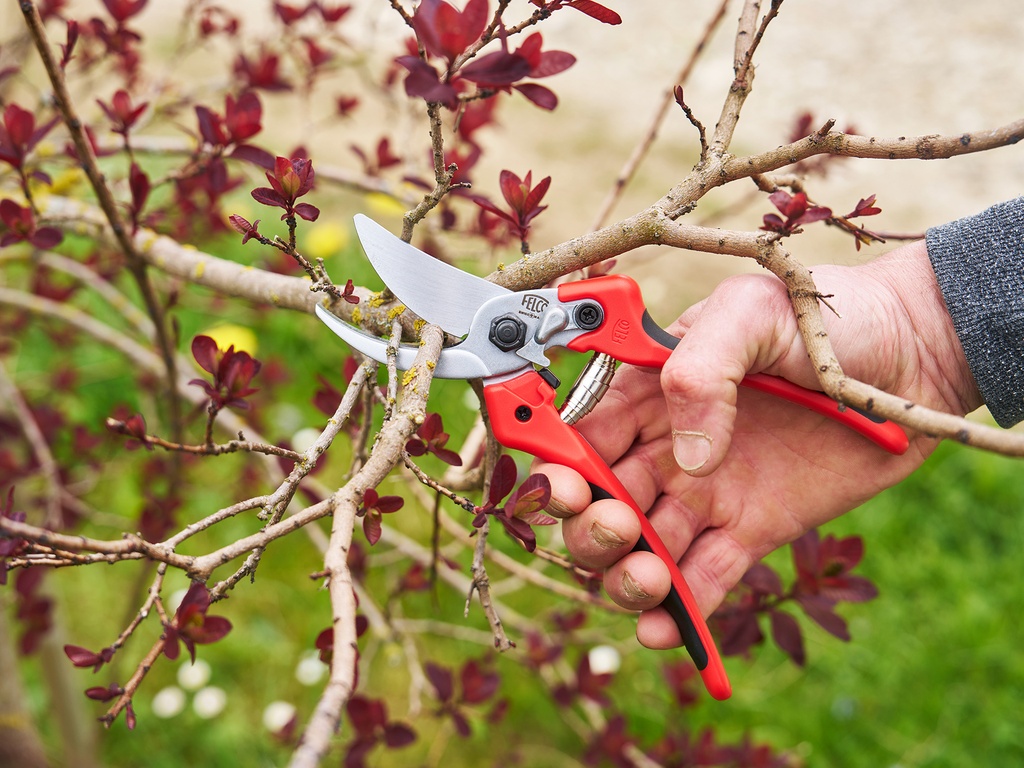 Snoeischaar FELCO 171L, lichte hobbyschaar voor grote handen, knipt tot 25 mm