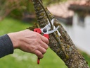Snoeischaar FELCO 171L, lichte hobbyschaar voor grote handen, knipt tot 25 mm