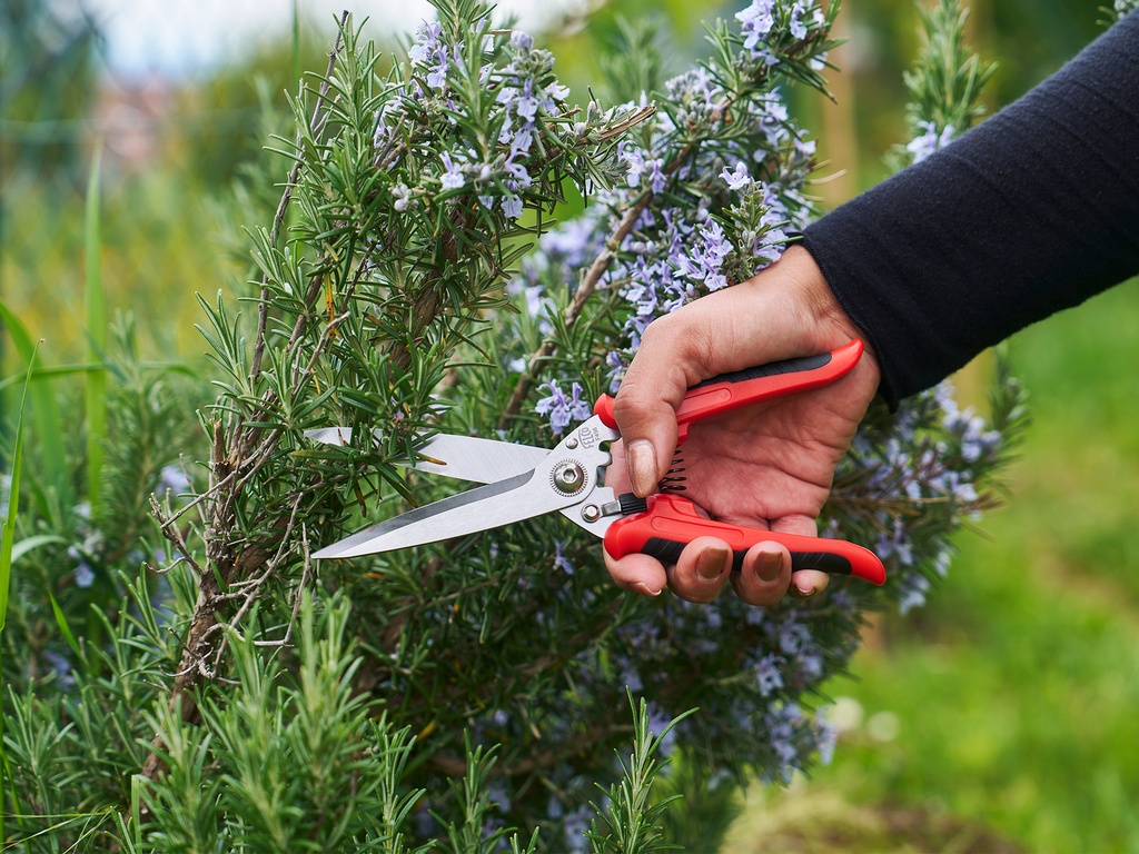 Multifunctionele schaar FELCO 456