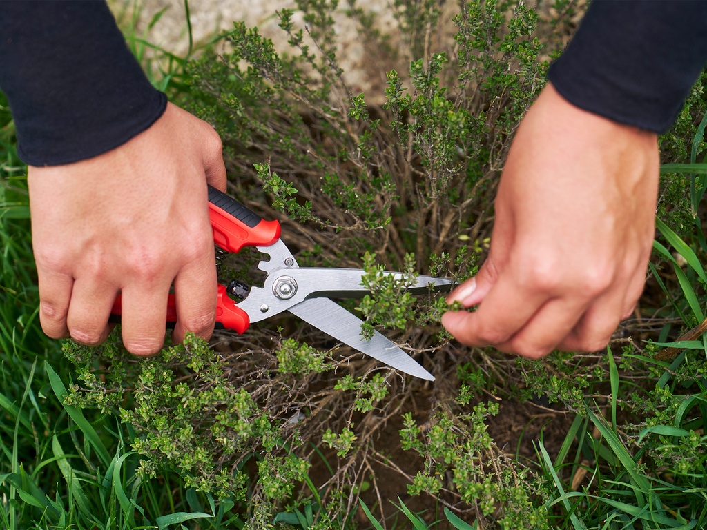 Multifunctionele schaar FELCO 456